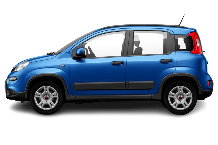 Panda Side_view Image