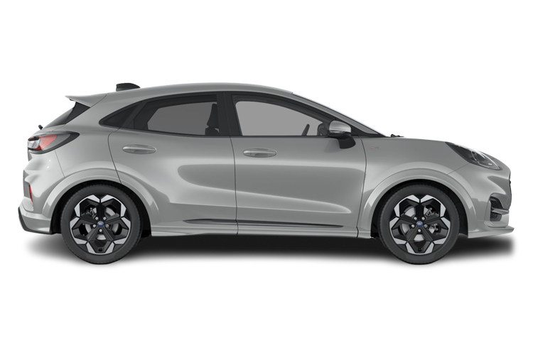 Puma Side_view Image