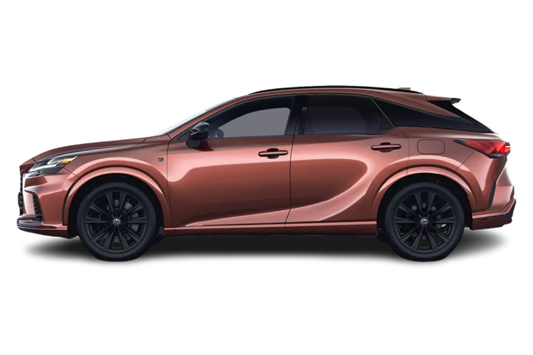 RX 500h Estate Side_view Image