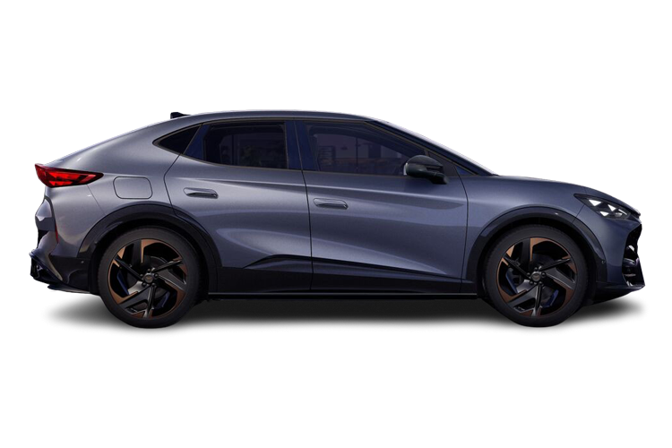 Tavascan Side_view Image