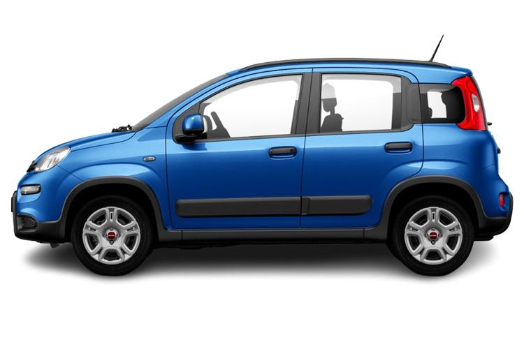 Panda Side_view Image