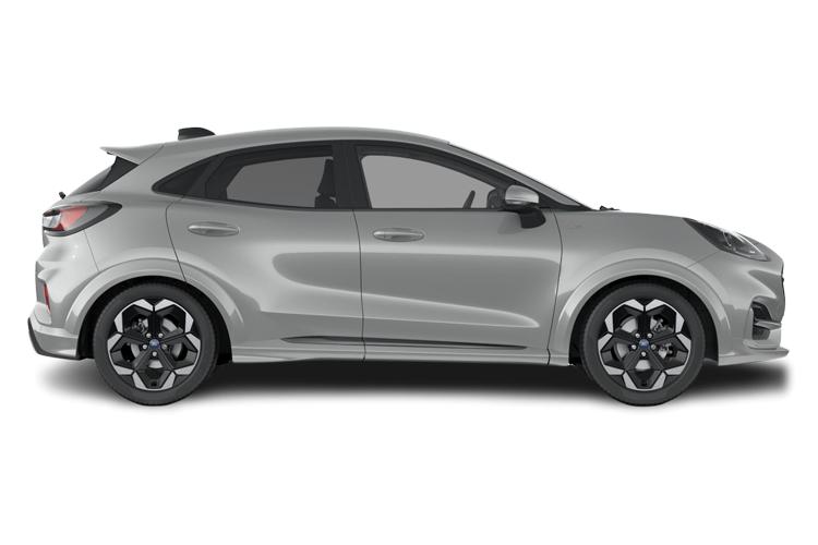 Puma Side_view Image